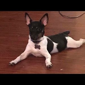 Meet your Posher, Anna